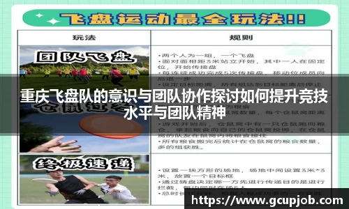 重庆飞盘队的意识与团队协作探讨如何提升竞技水平与团队精神